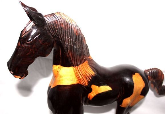 Cheval_8869