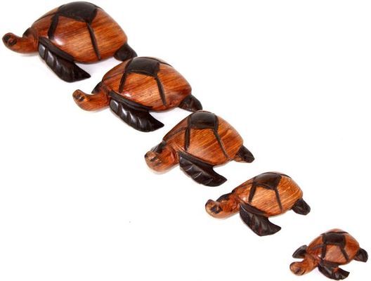 Tortue-bois-serie_9783